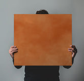 Dazzling Earthy Clay Orange
